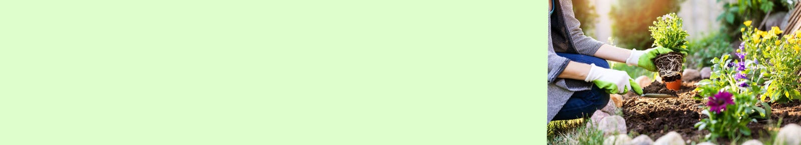 Guantes de protección para forestal y jardinería