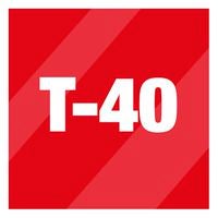 Transflex Central 4100 x 1950 mm (CORTINAS) Rojo