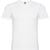 Camiseta Samoyedo blanco hombre