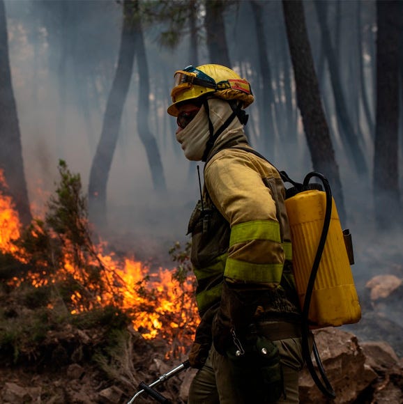 cómo prevenirlos incendios forestales