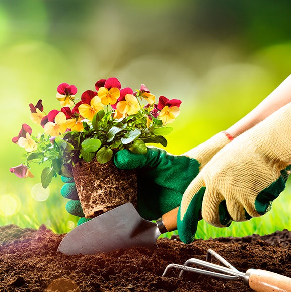 Cómo elegir los guantes para jardinería