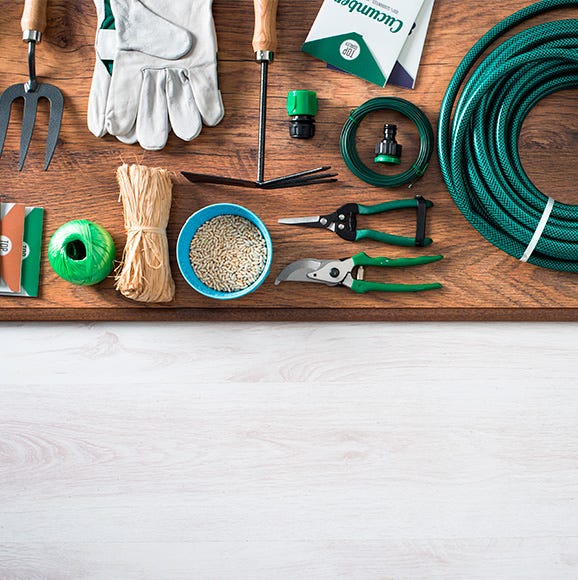 Las herramientas básicas para tu huerto y jardín